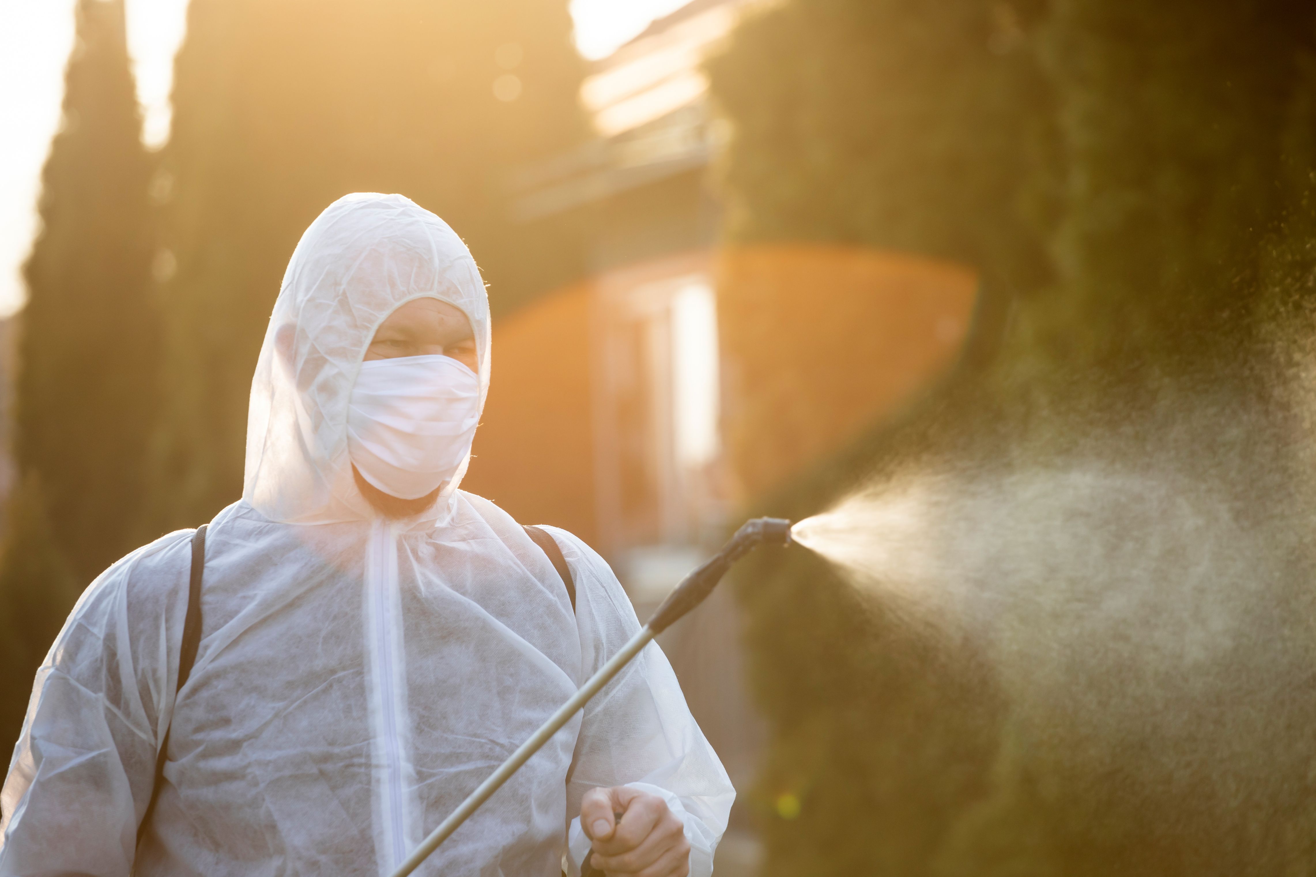 COVID Disinfection company